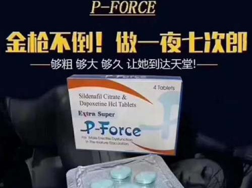 蓝Pforce